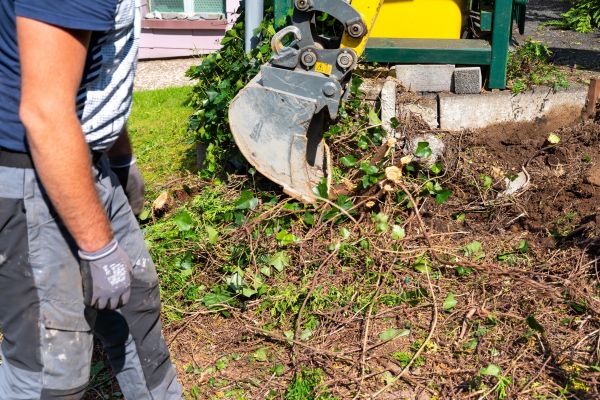 Hedge Removal Service in Oviedo