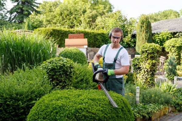Shrub Maintenance in Oviedo