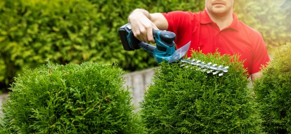 Hedge Shaping Service in Oviedo
