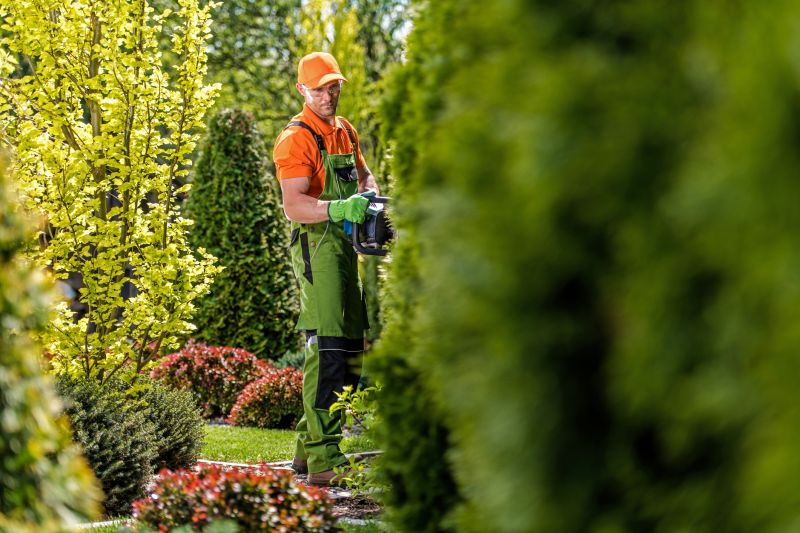 Evergreen Hedge Trimming